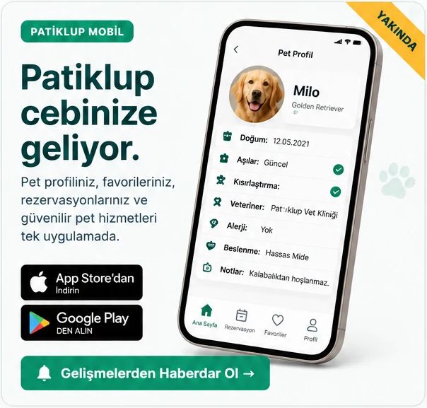 Patiklup Mobil uygulaması Pet Profili önizlemesi