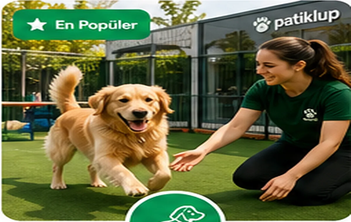 Köpek Oteli