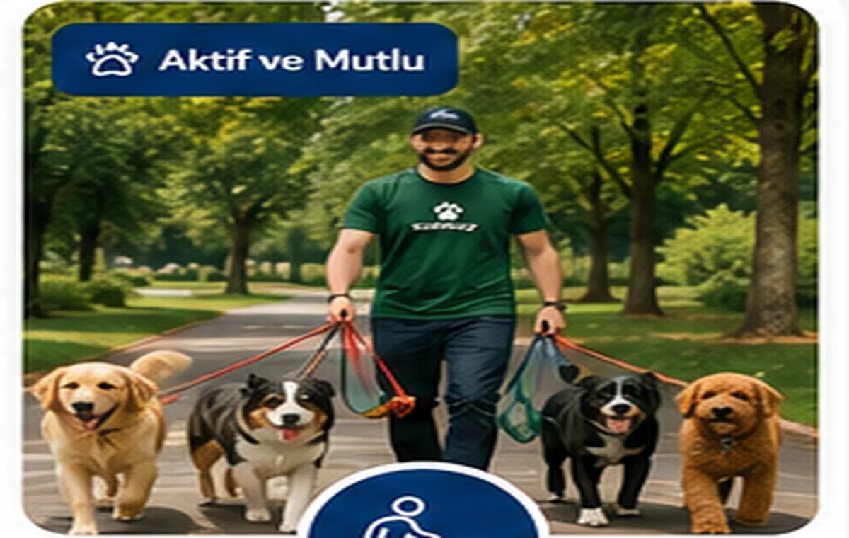 Köpek Gezdirme