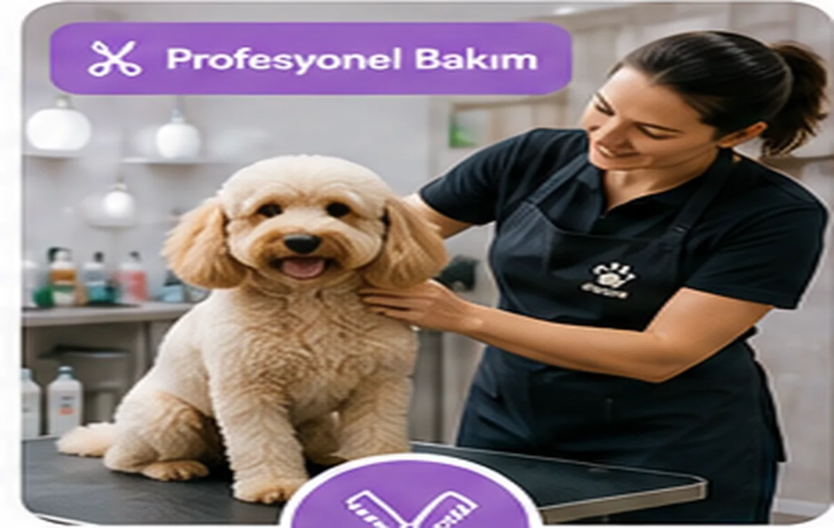 Pet Kuaförü