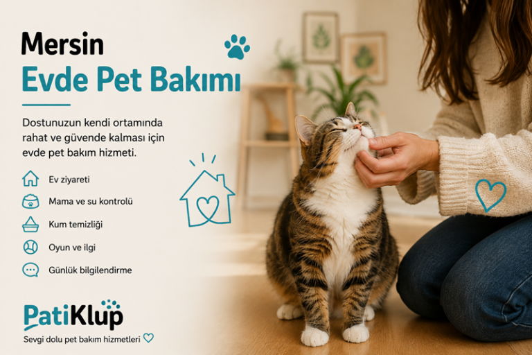 Mersin Evde Pet Bakımı - Patiklup