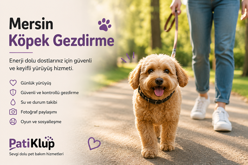 Mersin Kopek Gezdirme - Patiklup
