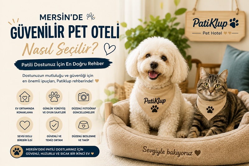 Patiklup’ta mutlu köpeklerin güvenli ve sevgi dolu pet oteli deneyimi