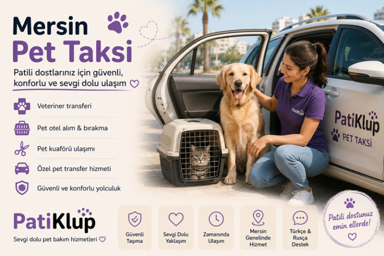 Mersin Pet Taksi Hizmeti | Güvenli Pet Transferi | PatiKlup 1 Mersin Pet Taksi - Patiklup