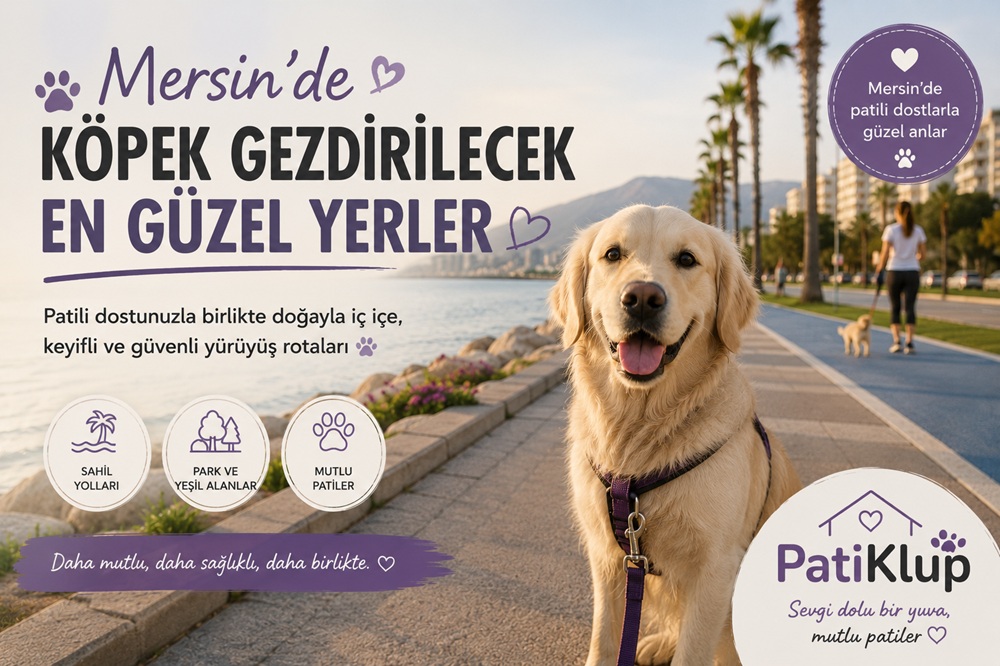 Mersin’de Köpek Gezdirilecek En Güzel Yerler | PatiKlup