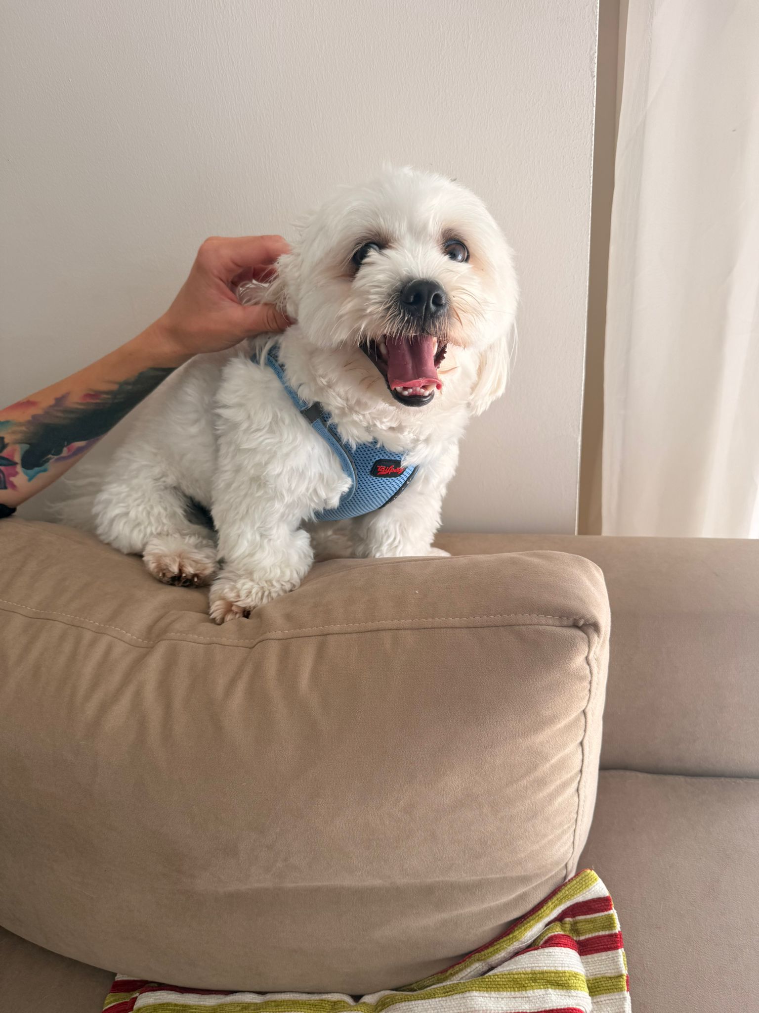 pablo