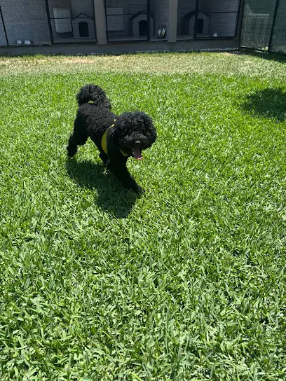 ANTALYA ZOOFEX PET HOTEL 20260811 194639