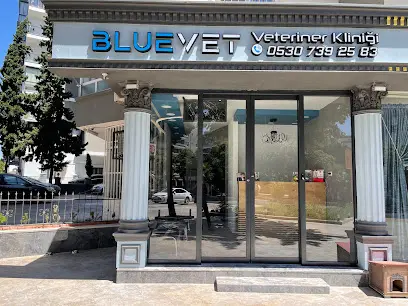 BLUEVET VETERINER KLINIGI 20260812 084131