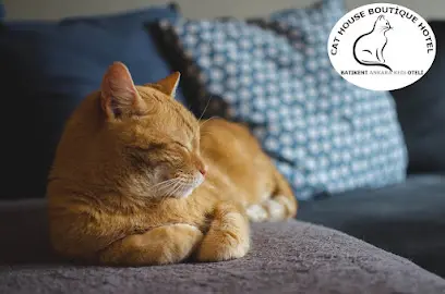 Batikent Ankara Kedi Oteli 20260812 161049