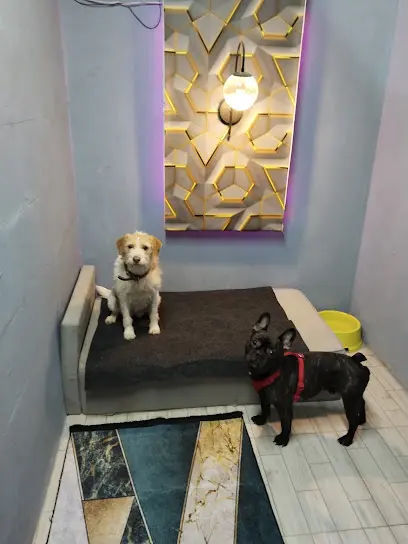 EXPO PET OTEL ANTALYA 20260812 075913