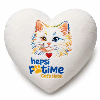 Hepsi Patime Cats Hotel Antalya Kedi Oteli 20260812 070030