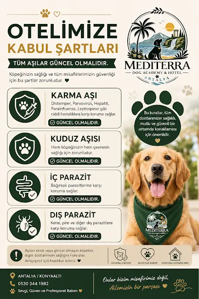 Kopegim Butik 20260812 074934