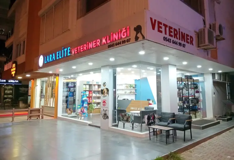 Lara Elite Veteriner Kliniği – Antalya 7/24 Nöbetçi Acil Veteriner Kliniği – Ветеринарная клиника