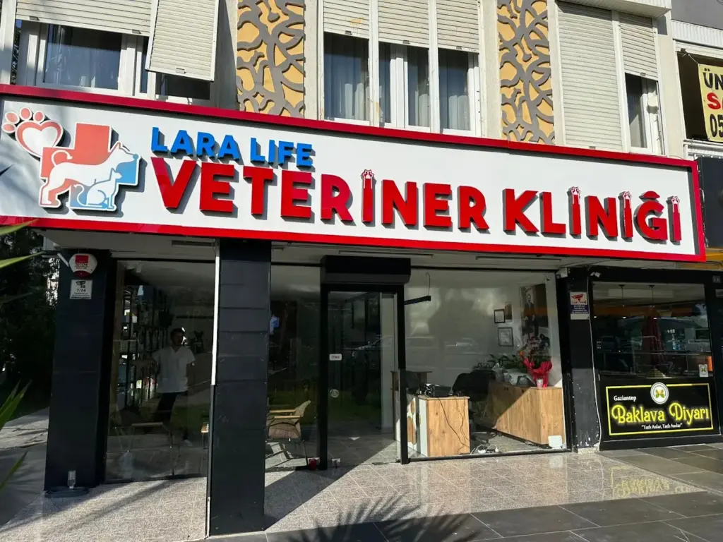 Lara Life Veteriner Klinigi 8211 ветеринарная клиника 20260817 194553