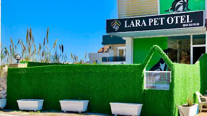 Lara Pet Otel 20260812 065909
