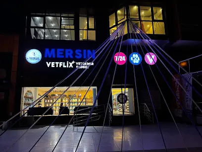 MERSIN VETFLIX⁺ VETERINER KLINIGI 20260812 162049