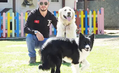 Mersin Mars K 9 Kopek Okulu Kopek Oteli 20260812 082038
