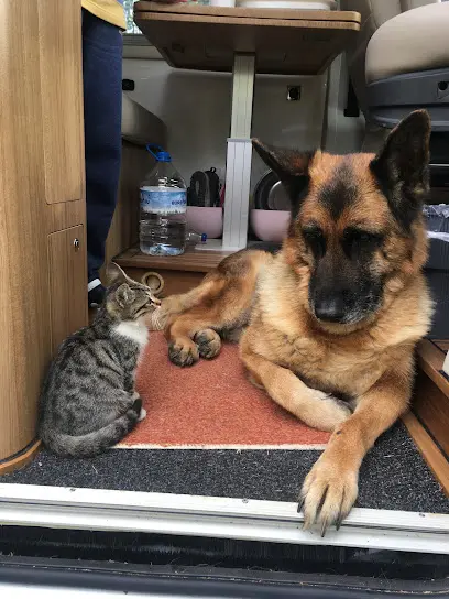 Mersin PetVET Veteriner Klinigi 20260812 073455