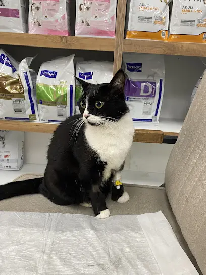Mersin Veteriner Klinigi 20260813 203002