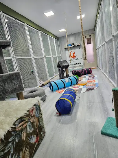 Mutlu Patiler Kedi Oteli 20260812 160033
