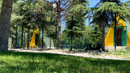 Pet Villas Köpek Oteli Eğitimi ve Rehabilitasyon Merkezi