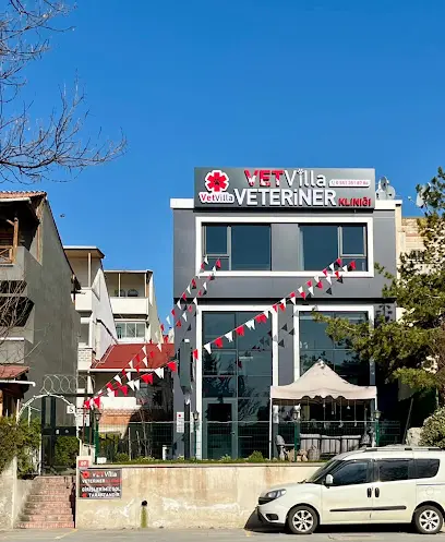 PetVilla Pet Otel 20260812 155042