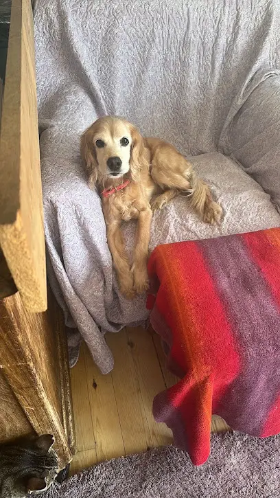 Petchalet 20260812 085230