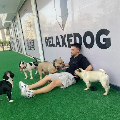 RELAXEDOG • Pozitif Kopek Egitim Merkezi 20260812 070324