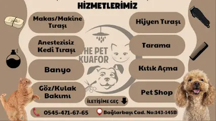 The Pet Kuafor Pet Shop Gaziosmanpasa 20260812 081150