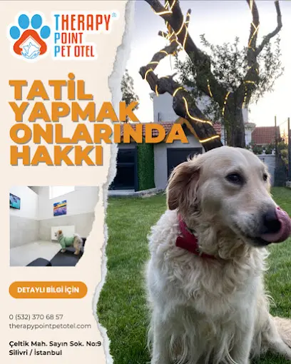 Therapy Point Pet Otel 20260812 084930