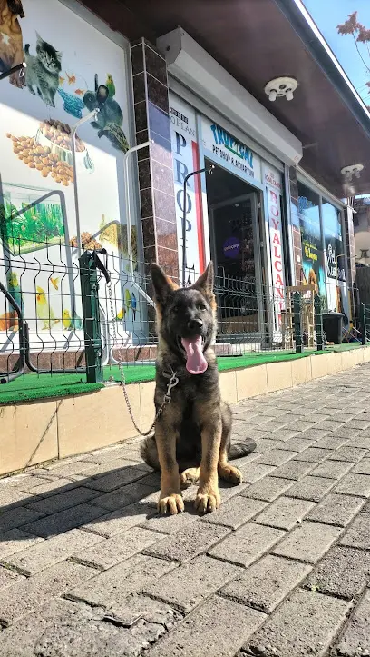 Tropical Pet Shop Tarsus 20260812 162300
