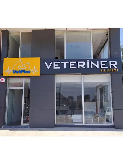 Vetfine Veteriner Klinigi 20260813 203056