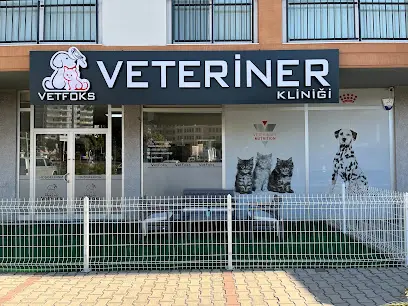 Vetfoks Veteriner Klinigi 20260812 073211