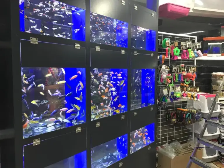 ada petshop akvaryum 2 997b990c