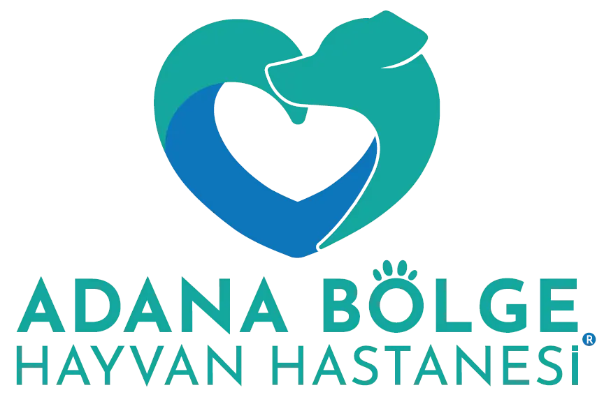 adana bolge hayvan hastanesi profile 53v95W