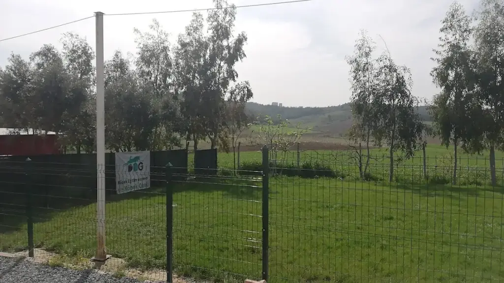 adana dog club kopek egitim merkezi ve oteli a811e1ab