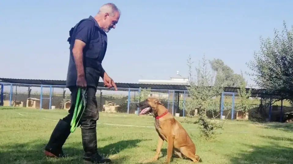 adana kopek egitim merkezi 4ca2b5ed