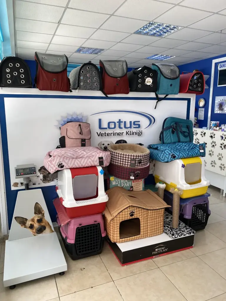 adana lotus veteriner klinigi 3eb28132