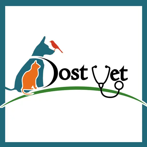 adana veteriner klinigi dostvet profile 92gkBk
