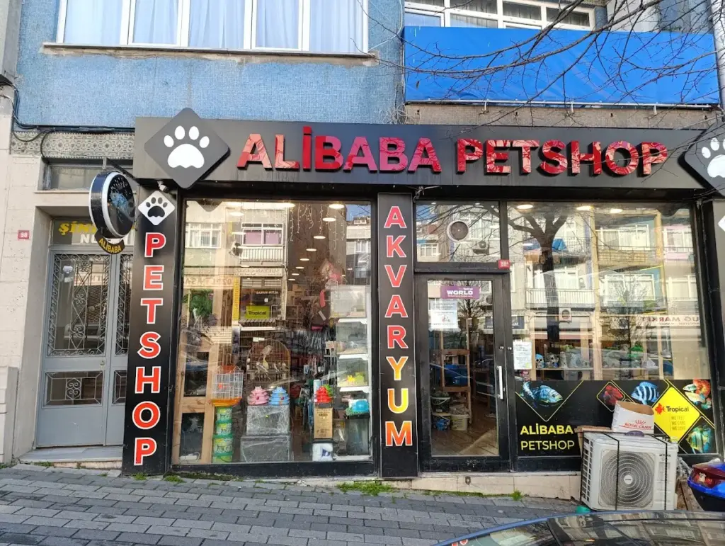 ali baba pet shop 7eea6631