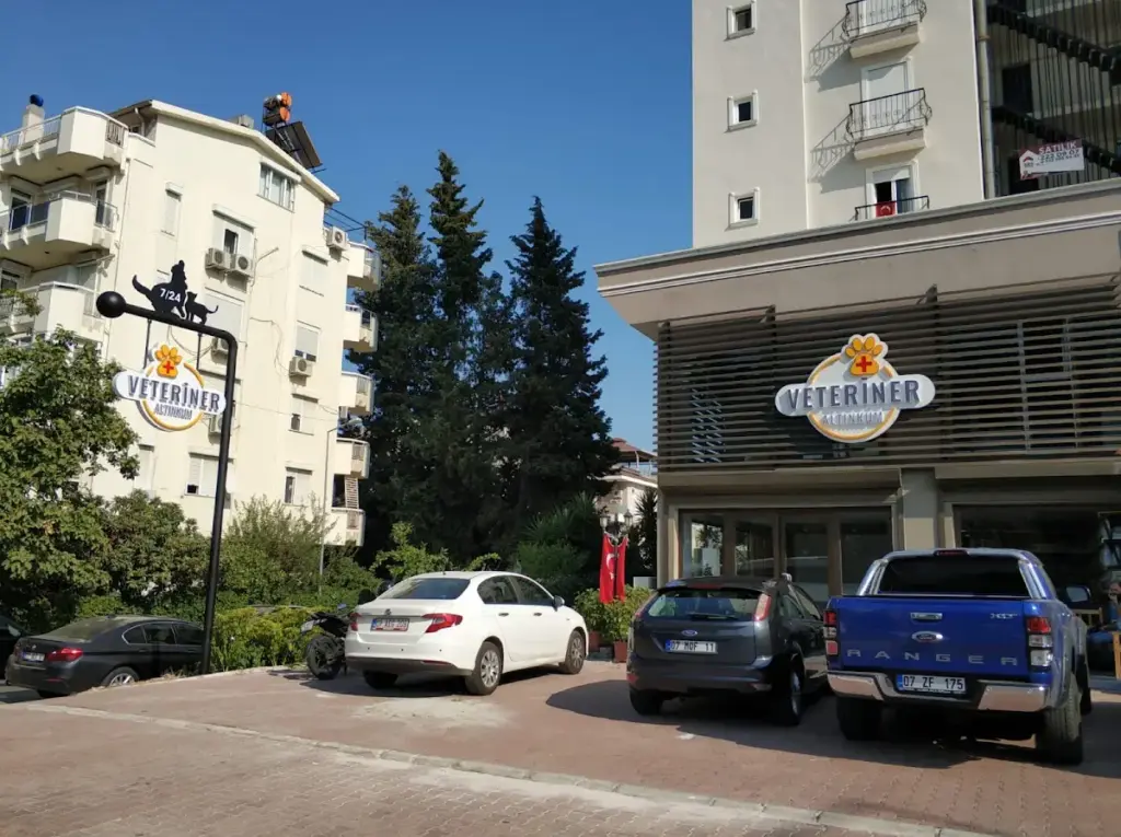 altinkum hayvan hastanesi 8d4a379f