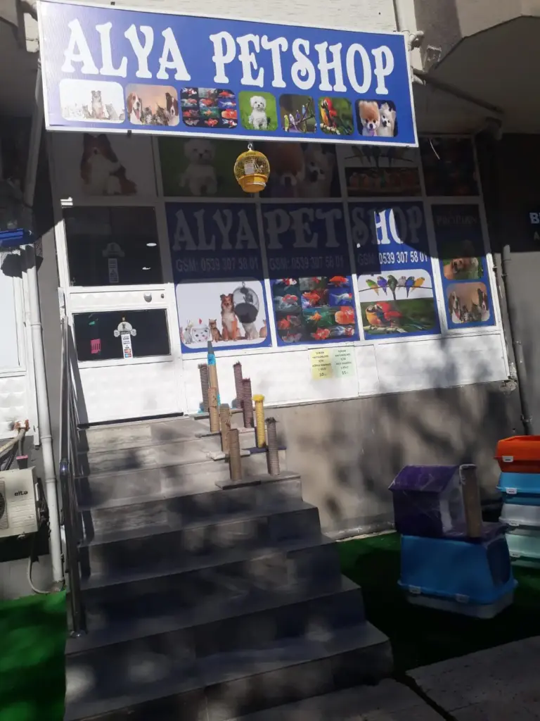alya petshop 445f769c