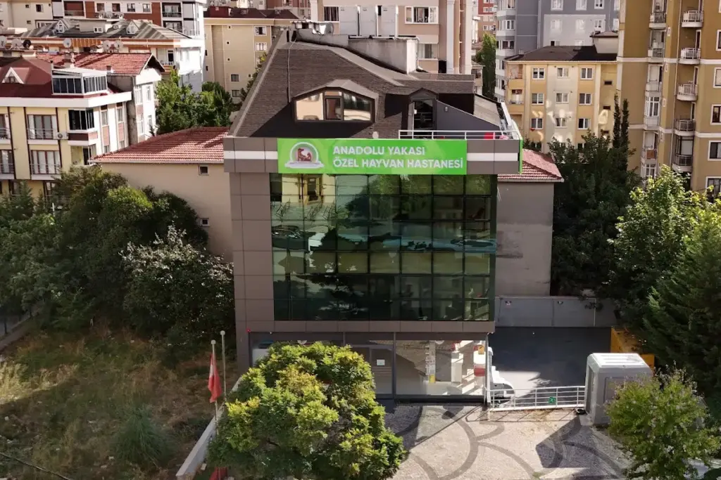 anadolu yakasi ozel hayvan hastanesi 7157e3c3
