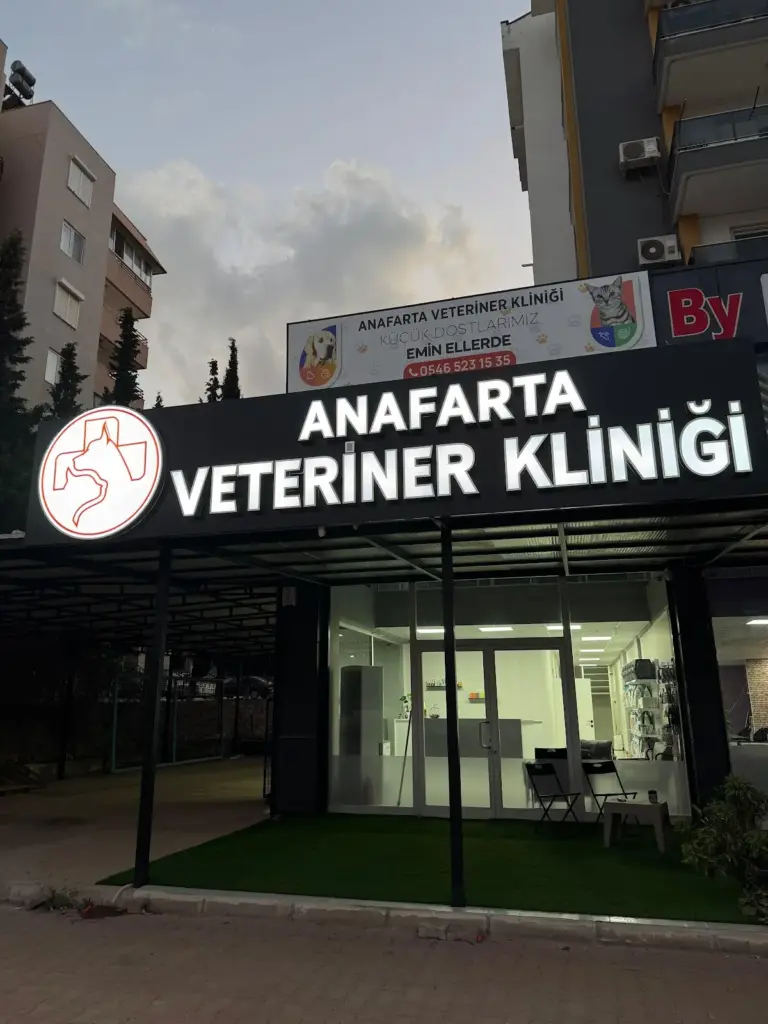 Anafarta veteriner kliniği – mazıdağı veteriner