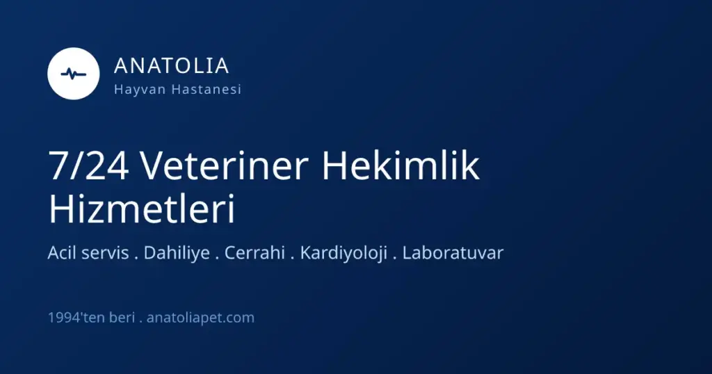 anatolia hayvan hastanesi profile JETMSo
