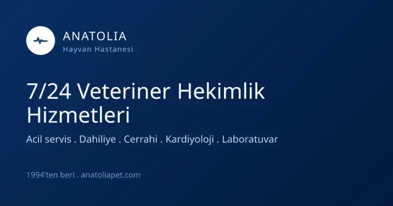 anatolia hayvan hastanesi profile JETMSo