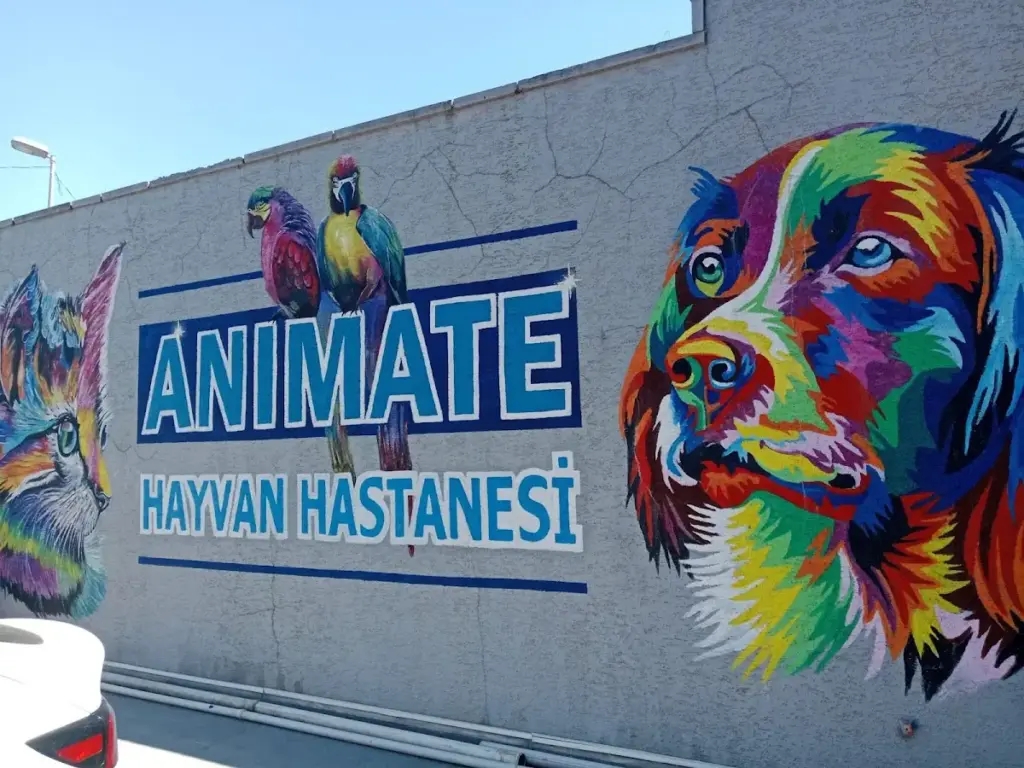 animate hayvan hastanesi d0197a66