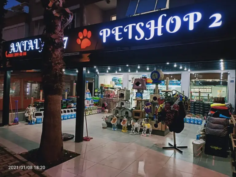 antalya 07 petshop bf7cee66