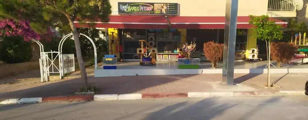 antalya baykus pet shop lara cb9bdb60