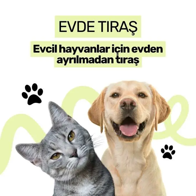 antalya evde pet kuafor a0d38840